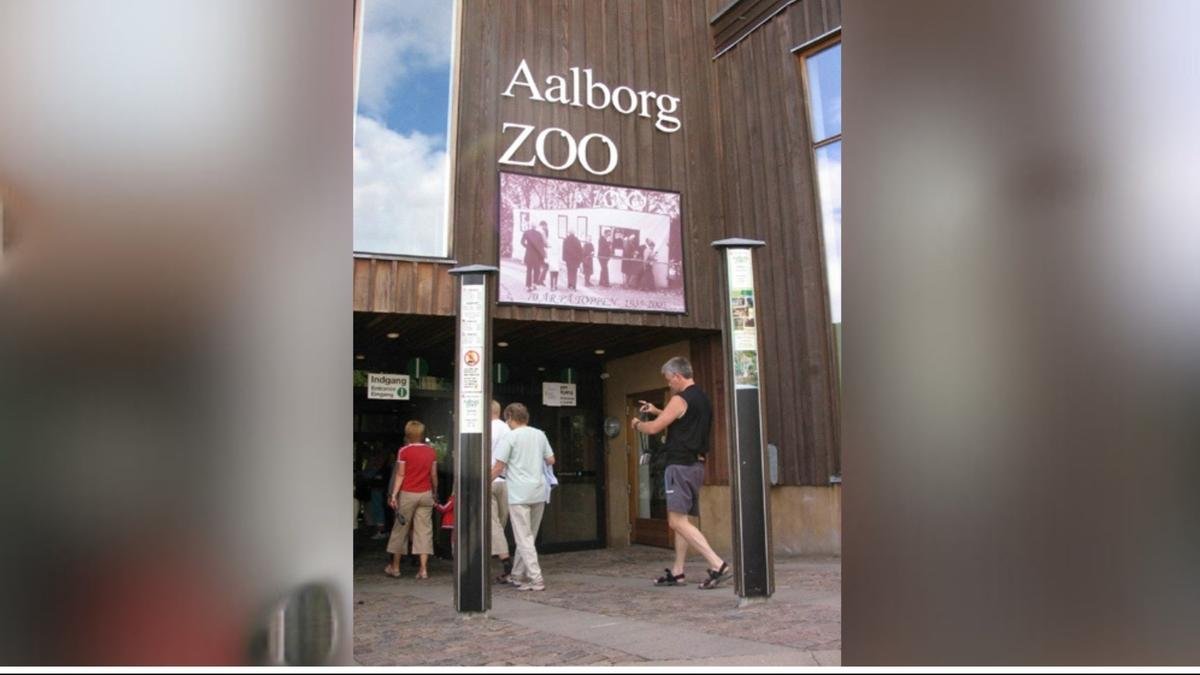 Denmark zoo asks people to donate their small pets as food for captive predators