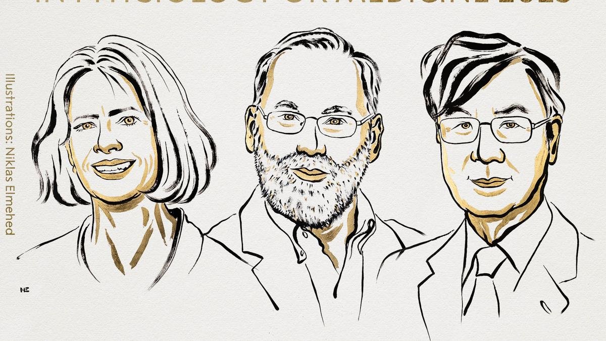 Medicine Nobel 2025 for scientists who demystified immune system